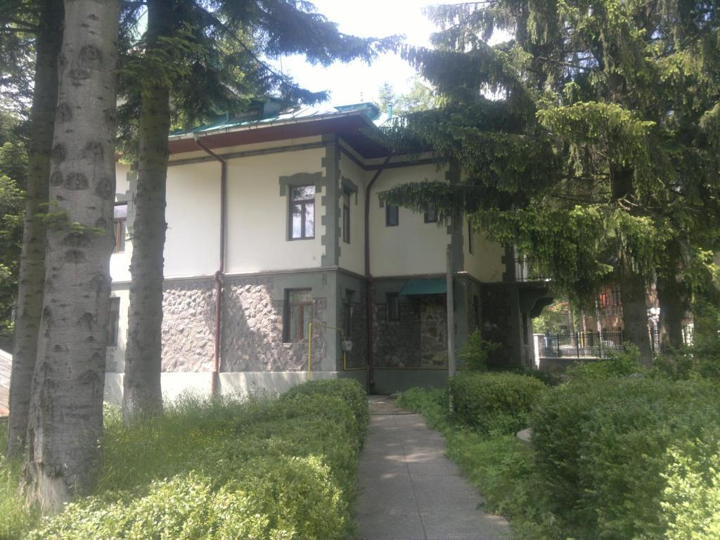 Vila Acvila Sinaia Eksteriør bilde