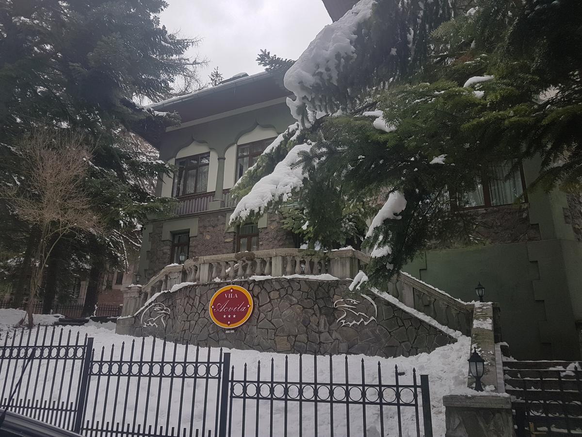 Vila Acvila Sinaia Eksteriør bilde